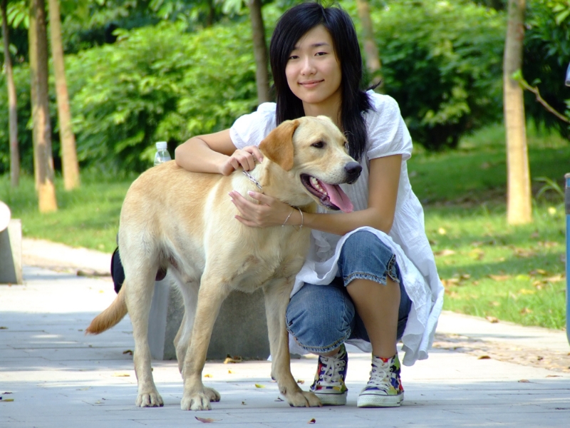 风中的绿叶的第一张照片--邢台相亲服务中心