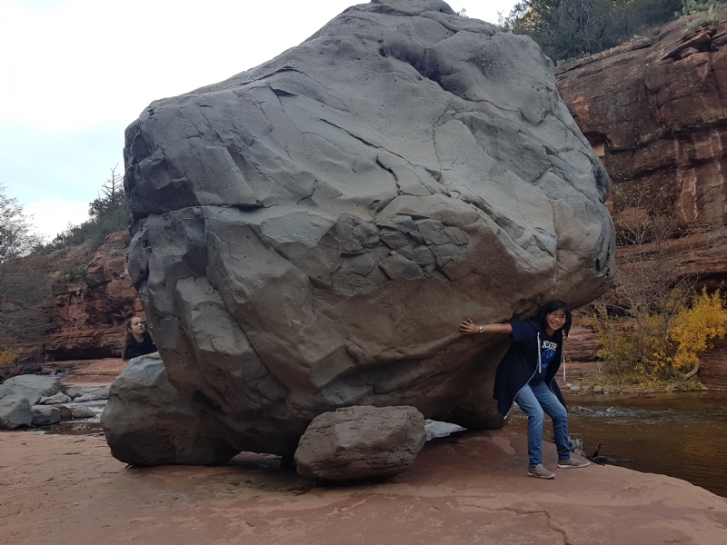 Apple的第一张照片--邢台相亲服务中心