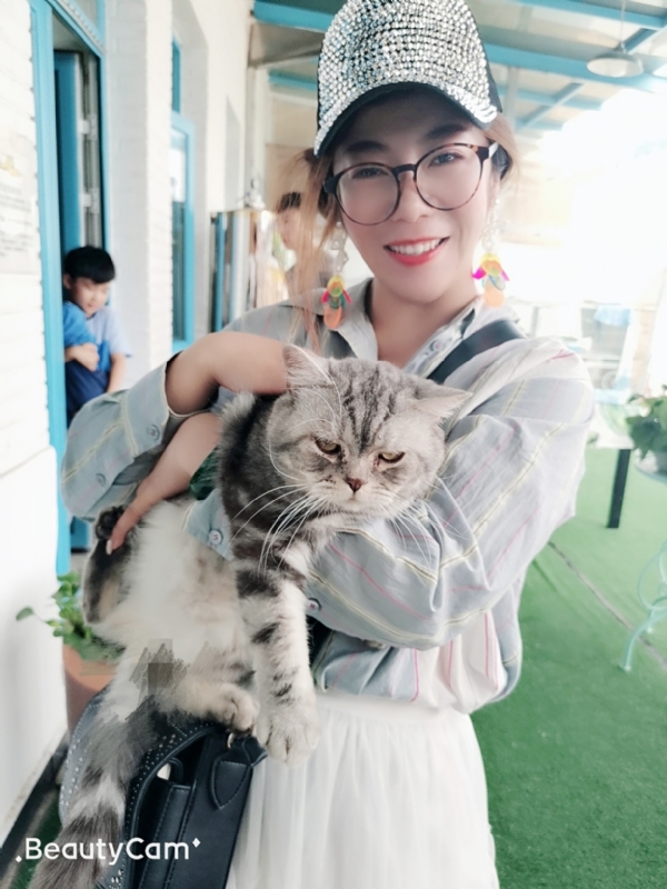 小黑猫的第一张照片--邢台相亲服务中心