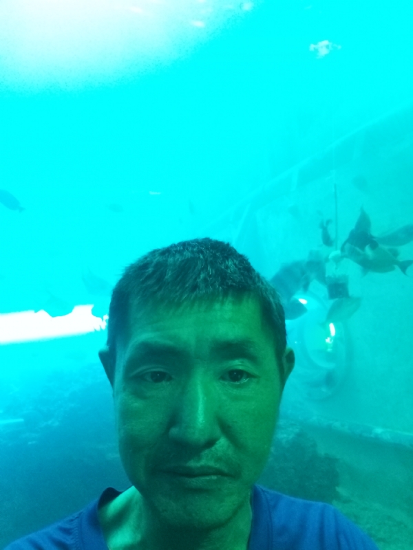 陸戰隊的第一张照片--邢台相亲服务中心