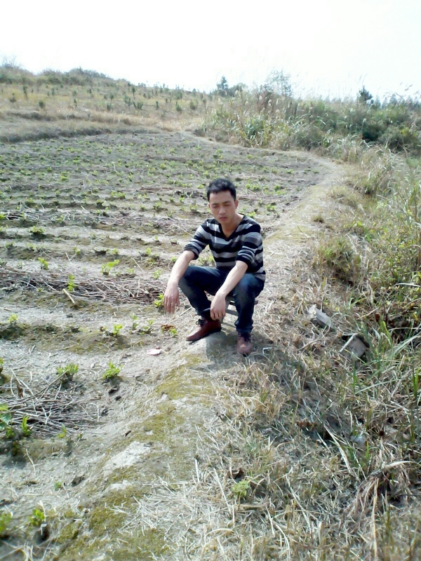 你好的第一张照片--邢台相亲服务中心