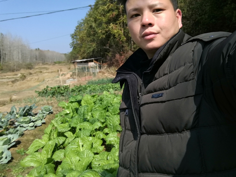 倔强的驴的第一张照片--邢台相亲服务中心