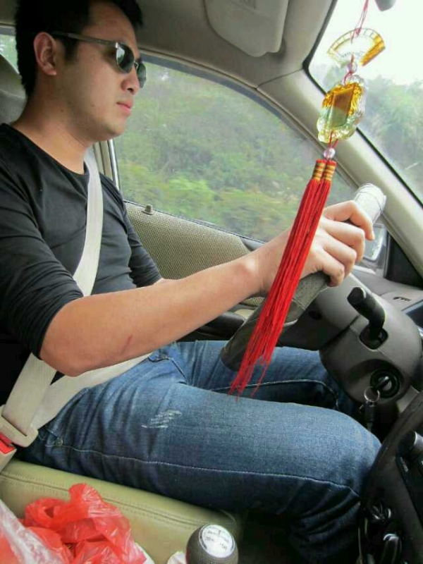 熊猫的第一张照片--邢台相亲服务中心