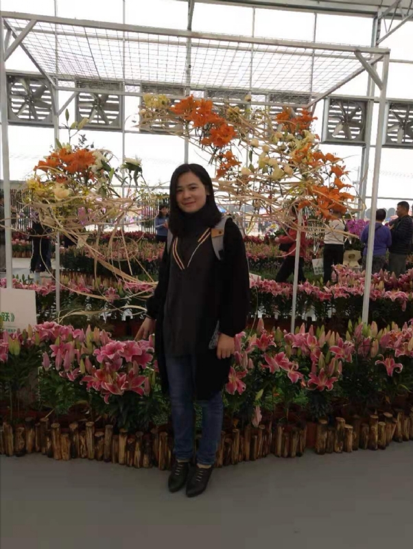 紫苏的第二张照片--邢台相亲服务中心