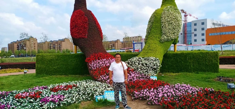 尘埃的第一张照片--邢台相亲服务中心