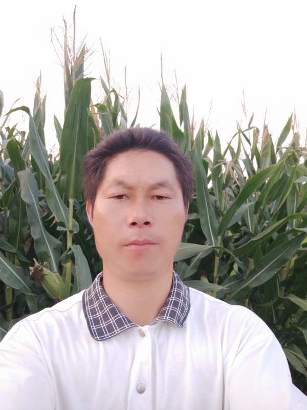 四海游龙的第二张照片--邢台相亲服务中心