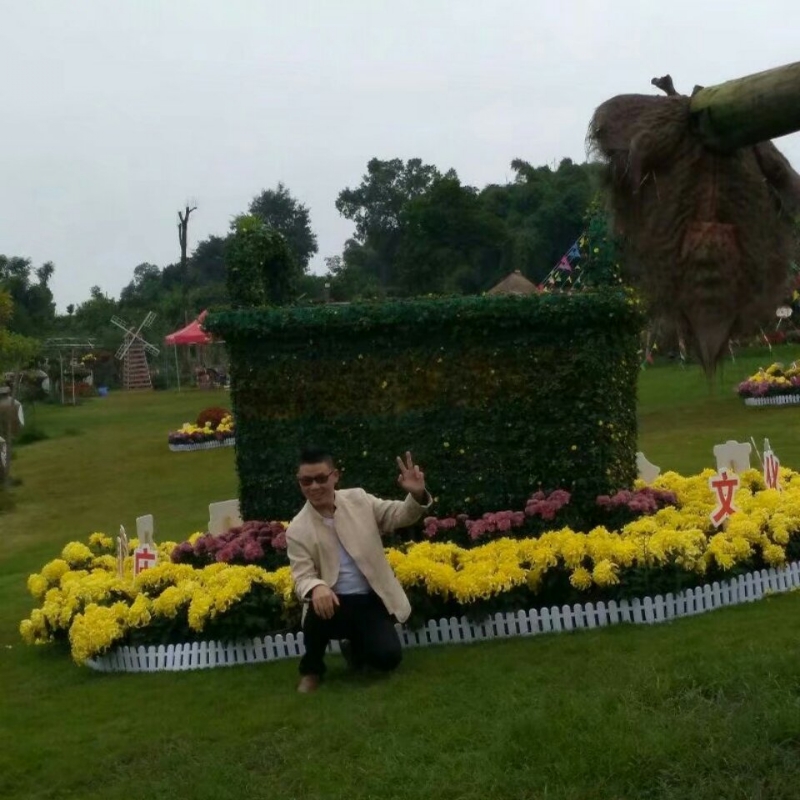 春风里^O^任徜徉的第一张照片--邢台相亲服务中心