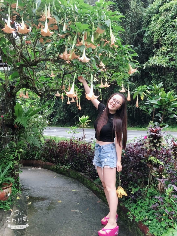 离异单身无子的第二张照片--邢台相亲服务中心