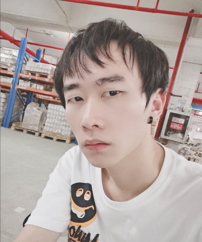 巷子里的猫的第一张照片--邢台相亲服务中心