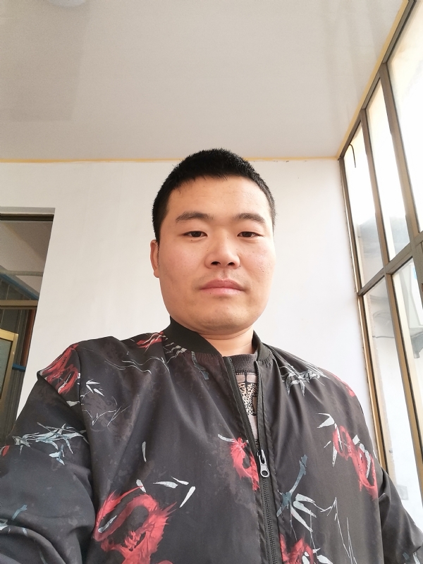 会飞的猪的第一张照片--邢台相亲服务中心