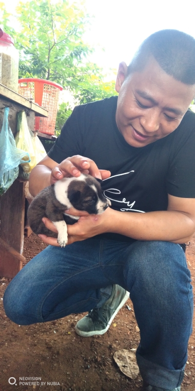 深圳相亲的第一张照片--邢台相亲服务中心