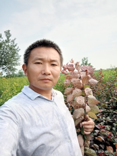 孩子爸的第一张照片--邢台相亲服务中心