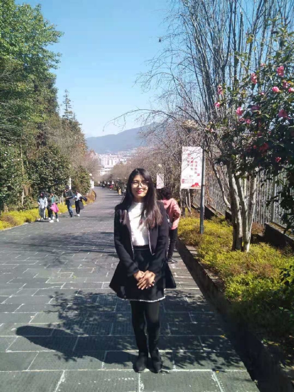 窗台上的桔梗的第一张照片--邢台相亲服务中心