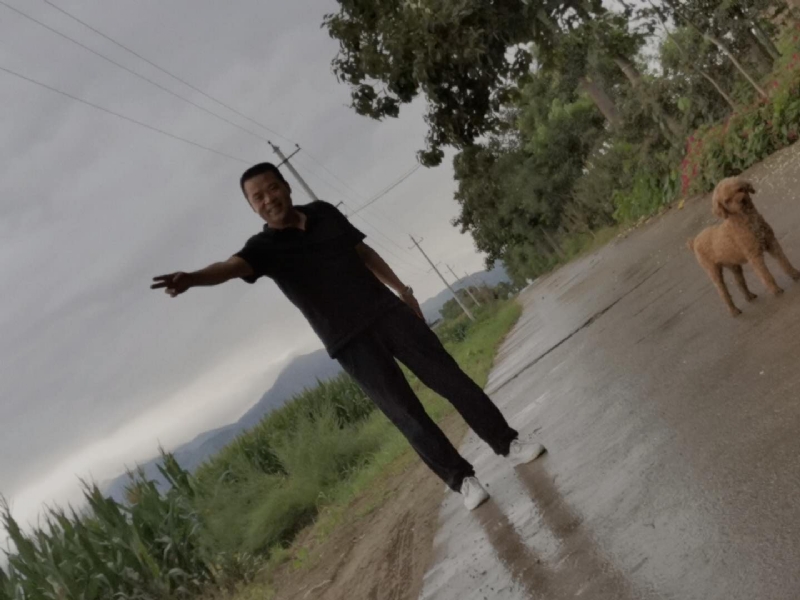 每天的温暖的第一张照片--邢台相亲服务中心