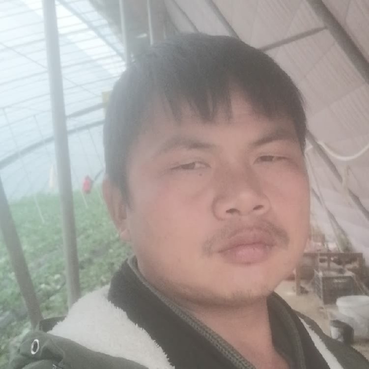 孤狼‘的第一张照片--邢台相亲服务中心