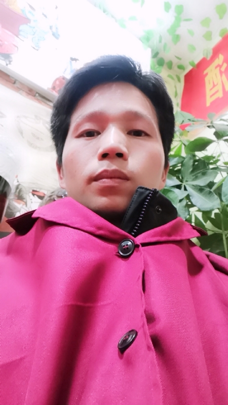 单身的林凡的第二张照片--邢台相亲服务中心