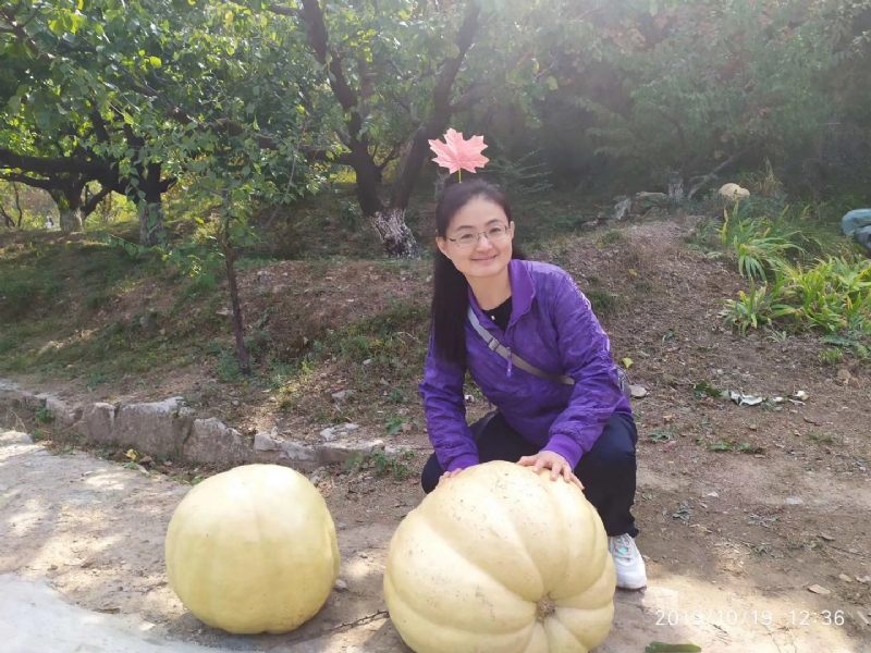 海绵宝宝的第一张照片--邢台相亲服务中心