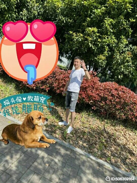 我若不坚强谁替我勇敢的第一张照片--邢台相亲服务中心