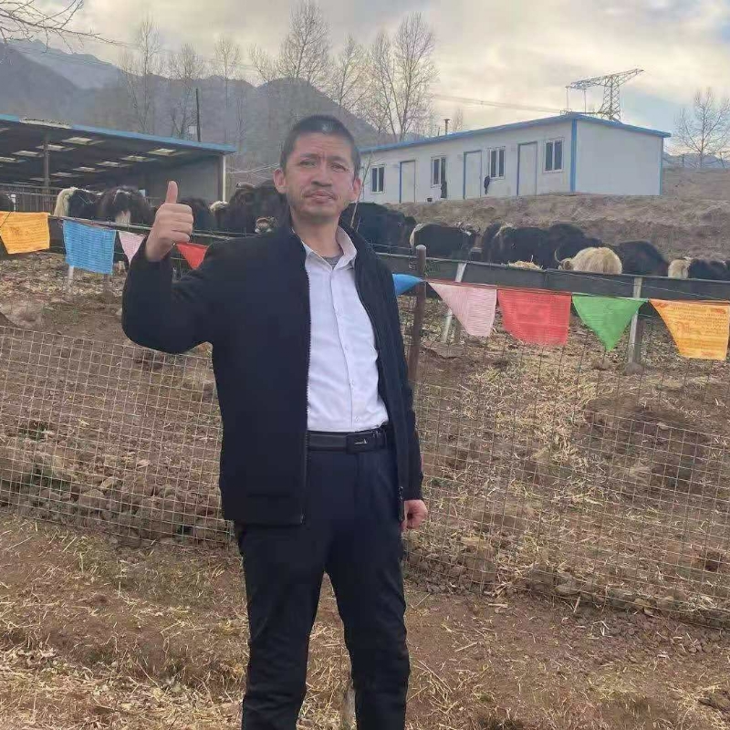 天外看的第一张照片--邢台相亲服务中心