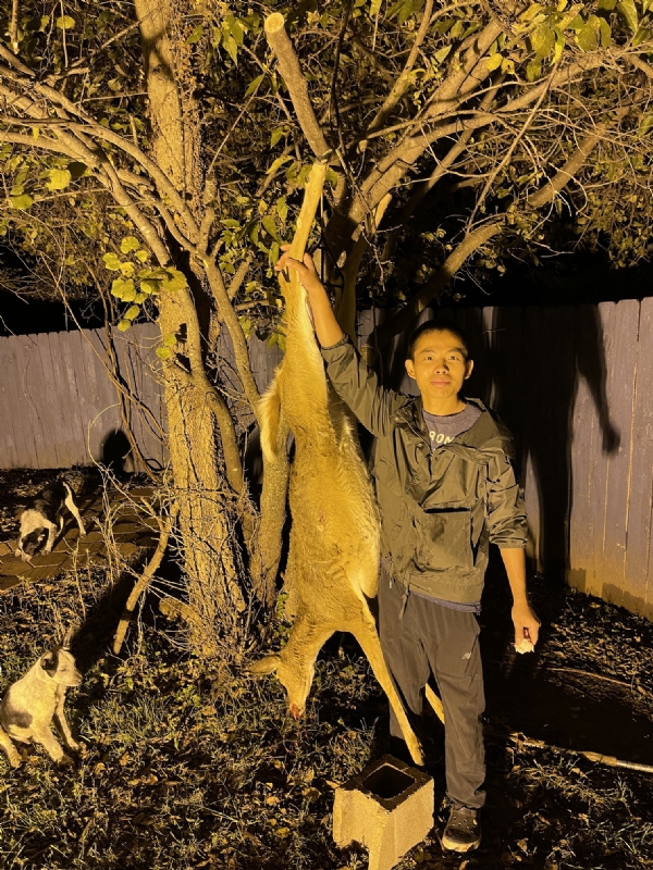 Kandy的第三张照片--邢台相亲服务中心