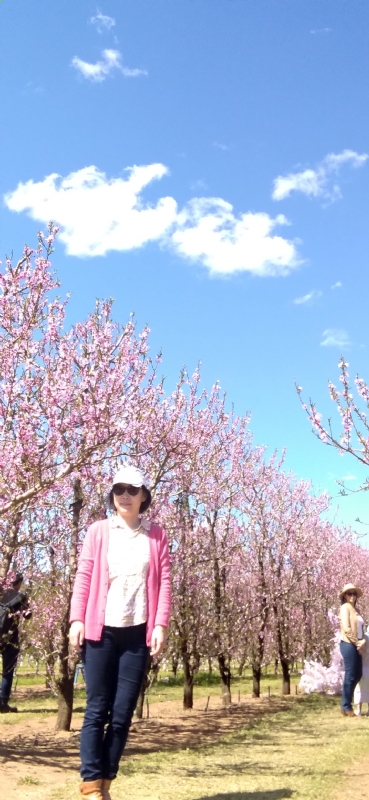 Grace的第二张照片--邢台相亲服务中心