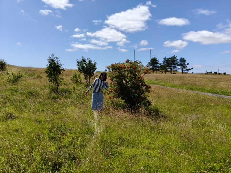 秋蝉的第一张照片--邢台相亲服务中心