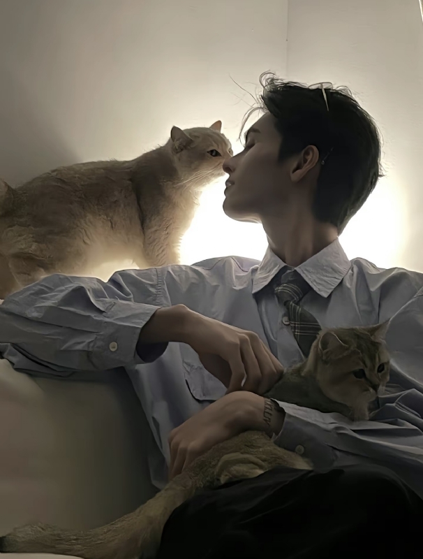 怪猫的第一张照片--邢台相亲服务中心