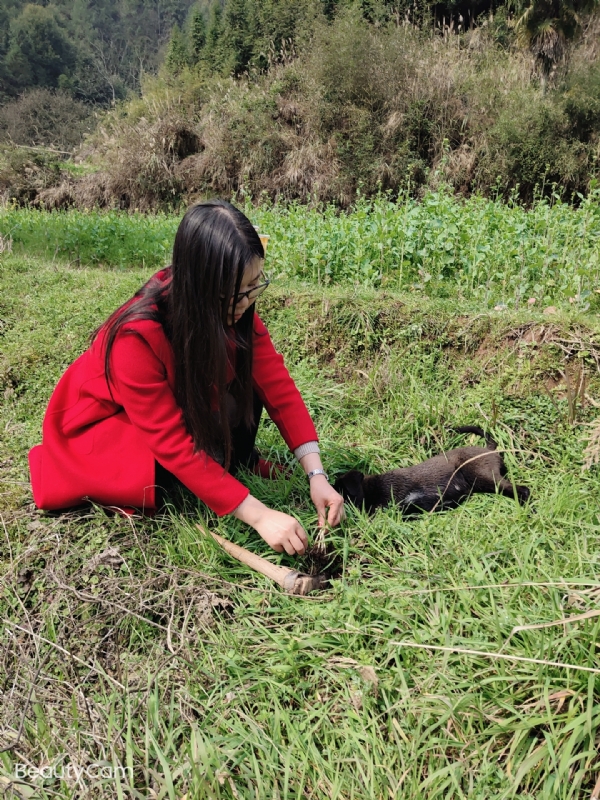下一个春和秋的第一张照片--邢台相亲服务中心