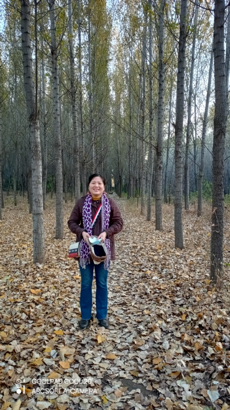 小海星的第二张照片--邢台相亲服务中心