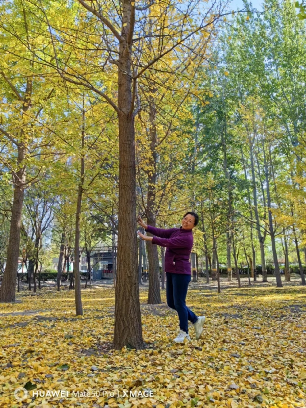 Shirley的第一张照片--邢台相亲服务中心