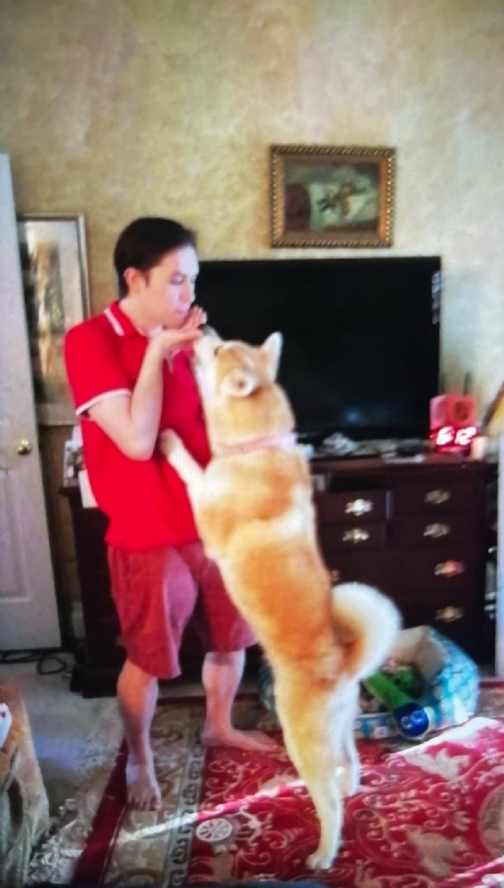 Leluch的第一张照片--邢台相亲服务中心