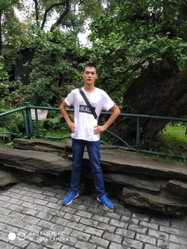 会飞的猪的第一张照片--邢台相亲服务中心