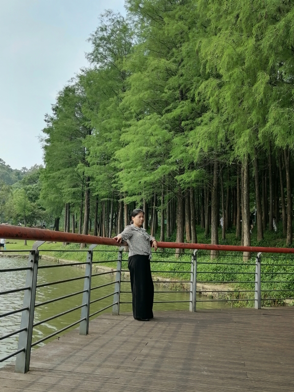 遗失的记忆的第二张照片--邢台相亲服务中心