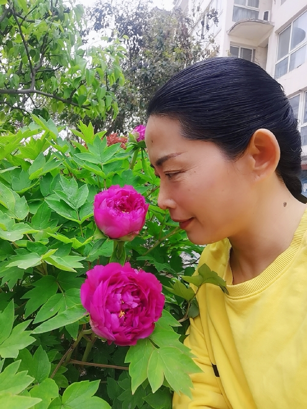 厚德载物的第一张照片--邢台相亲服务中心