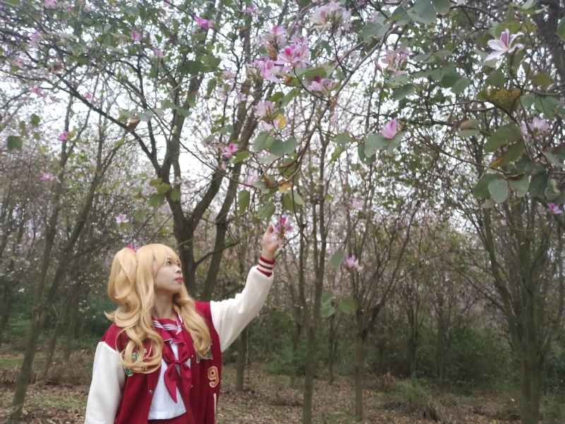 暮秋的第一张照片--邢台相亲服务中心