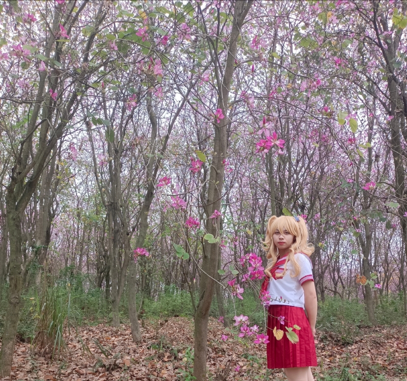 暮秋的第三张照片--邢台相亲服务中心