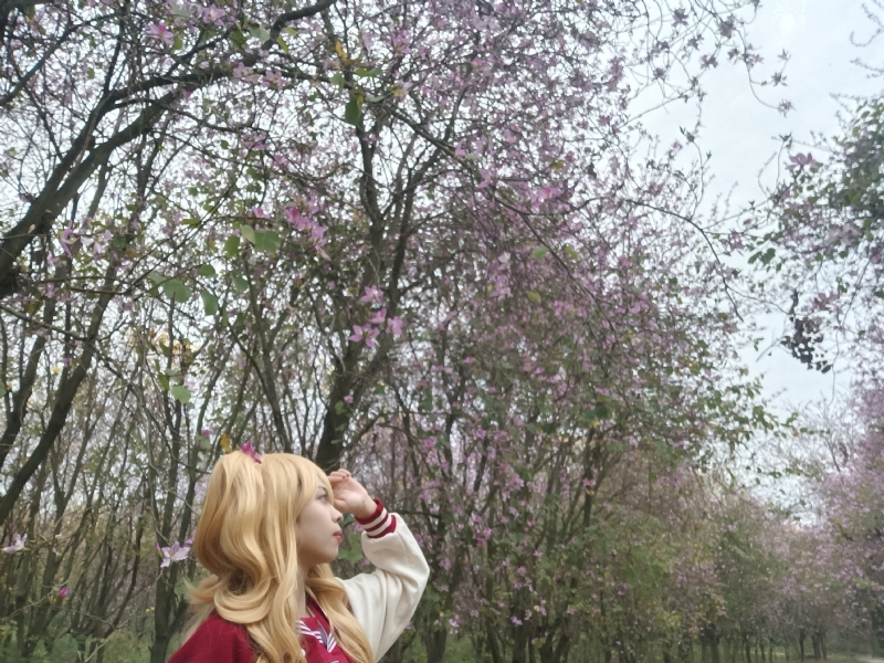 暮秋的第五张照片--邢台相亲服务中心