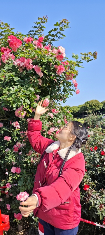 狗狗的第一张照片--邢台相亲服务中心