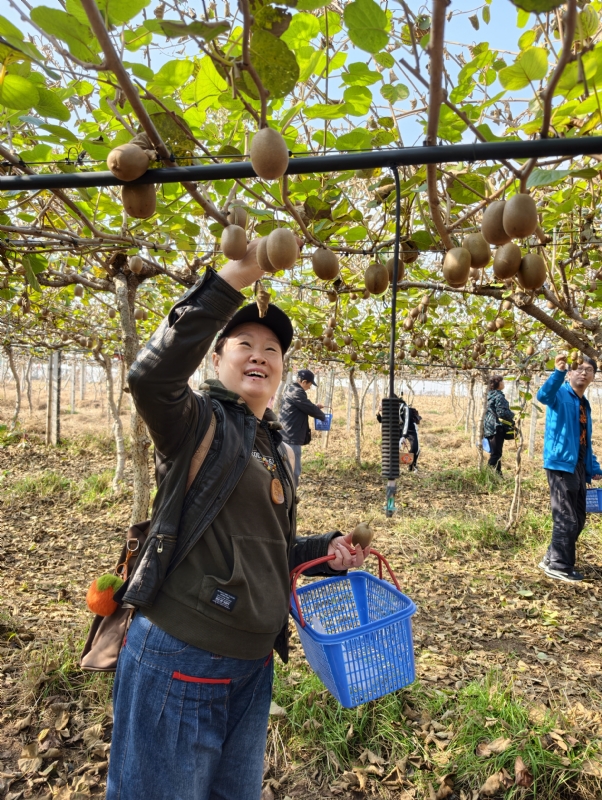 夜莺的第三张照片--邢台相亲服务中心